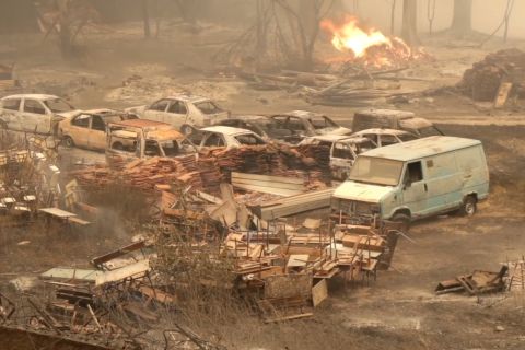12 orang tewas dalam kebakaran hutan di Aljazair