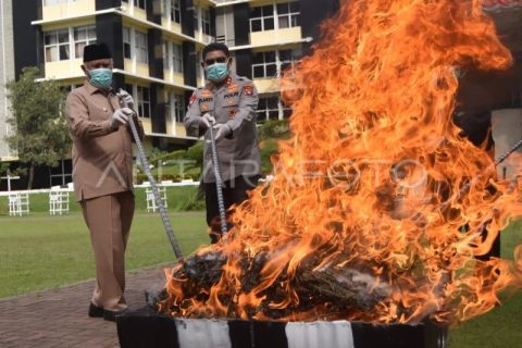 Polda Sumbar musnahkan barang bukti narkotika