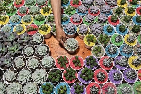 Pameran Flona 2026 di Taman Lapangan Banteng ajang promosi UMKM flora dan fauna