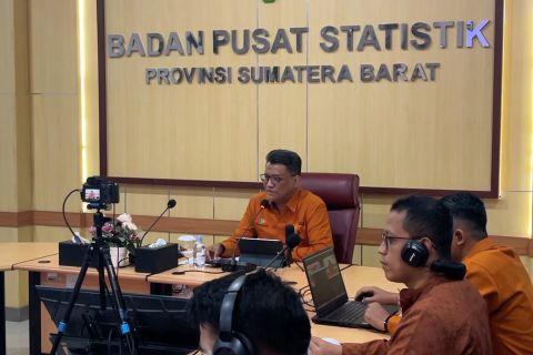 BPS: pertanian tetap jadi penopang ekonomi Sumbar pascabencana