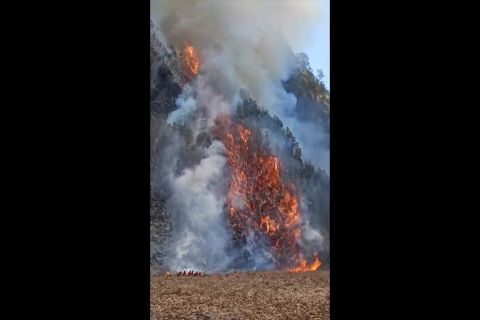 Khofifah sebut titik api kebakaran Gunung Bromo mulai terlokalisir