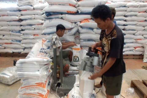Bulog Bangka perkuat stok beras hadapi potensi dampak kemarau