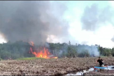Hadapi El Nino, pemerintah tingkatkan mitigasi karhutla