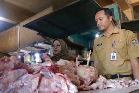 Harga ayam naik, pasokan di Temanggung masih mencukupi
