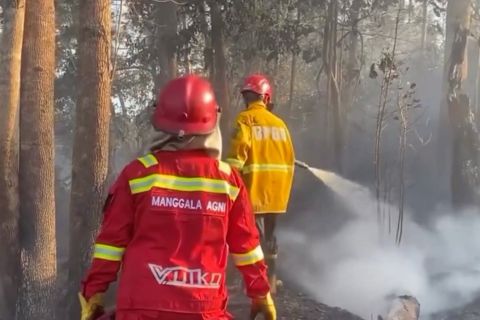 Kaltim dan IKN andalkan pemadaman darat tangani karhutla
