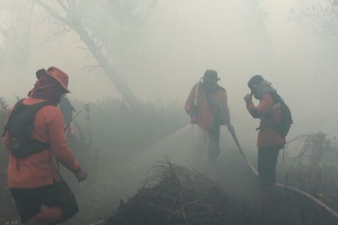 Karhutla Palangka Raya meluas, pemkot perpanjang status darurat