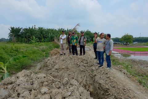 Kementan dan TNI rehabilitasi 39.762 hektare sawah rusak di Aceh Utara