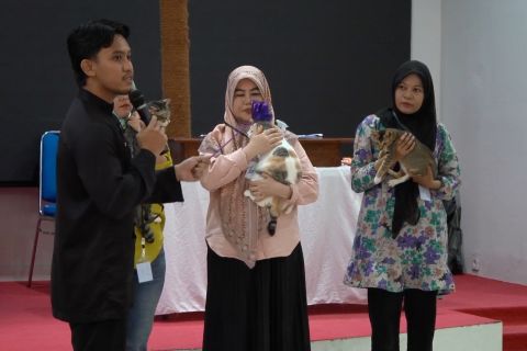 Kontes kucing jadi ajang edukasi zoonosis di Banda Aceh