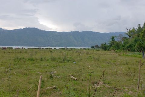 Oplah sawah di Aceh Tengah capai 90 persen