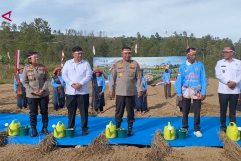 Dukung swasembada pangan, Polda Sumut tanam bawang putih serentak