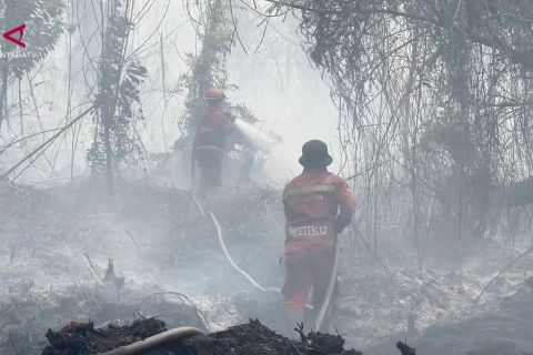 Karhutla dekati permukiman, BPBD Riau tambah personel dan helikopter