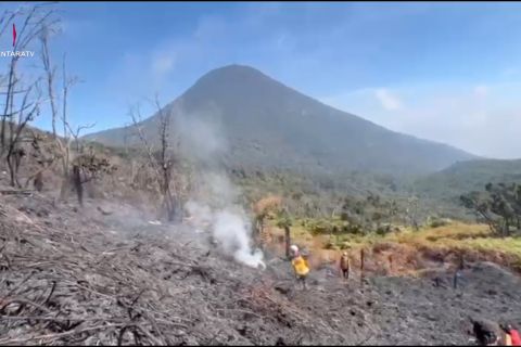 Kebakaran hutan di kawasan Kawah Wadon TNGGP meluas capai 5,8 hektare