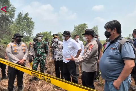 Menteri LH: 85.000 hektare wilayah konsesi terbakar di Indonesia
