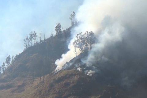 kebakaran di Bromo diduga sisa perapian orang di Bantengan