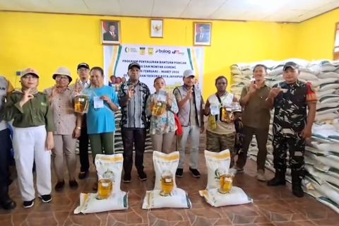 Bulog Papua salurkan bantuan pangan untuk 845 ribu penerima manfaat