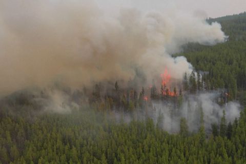 Kebakaran hutan mengancam wilayah penghasil anggur di Kanada