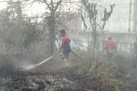 Karhutla Palangka Raya capai 422,91 hektare, api dekati permukiman