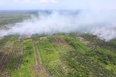 Pemadaman karhutla di Riau terkendala angin kencang dan minim air