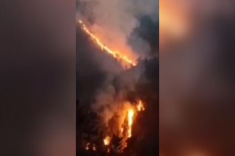 Hutan lereng Gunung Semeru terbakar sejak Rabu malam