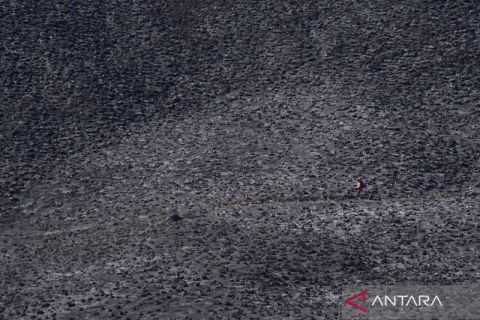 Sekitar 590 hektare kawasan terdampak kebakaran di TNBTS, begini penampakannya