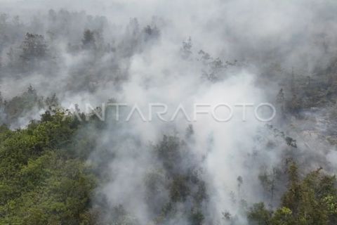 Penanganan kebakaran lahan gambut di Kabupaten OKI