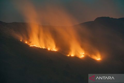 10 titik api terpantau, Balai Besar TNBTS tutup akses Bromo dari Jemplang