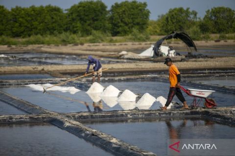 Genjot produksi lokal! KKP siapkan rantai pasok dan teknologi demi swasembada garam nasional