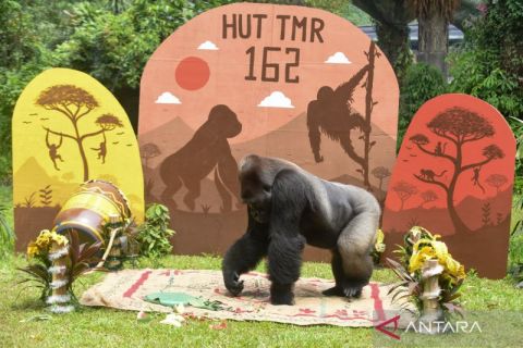 HUT ke-162 Ragunan, Komu dapat pakan spesial di kandang berhias