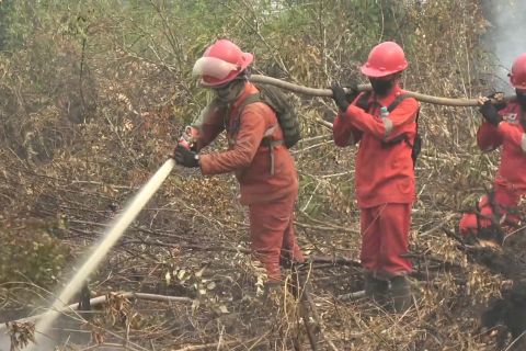 Enam hari karhutla Pangkalan Lampam, api masih bergerak di gambut