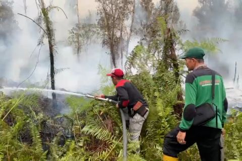 Karhutla masih melanda Palangka Raya, api sulit padam di lahan gambut