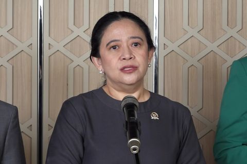 Lahan karhutla langsung ditanami sawit, Puan minta diselidiki