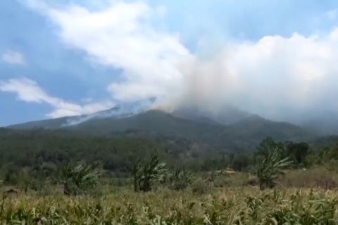Pemkab Ngawi minta water bombing untuk tangani karhutla Gunung Lawu