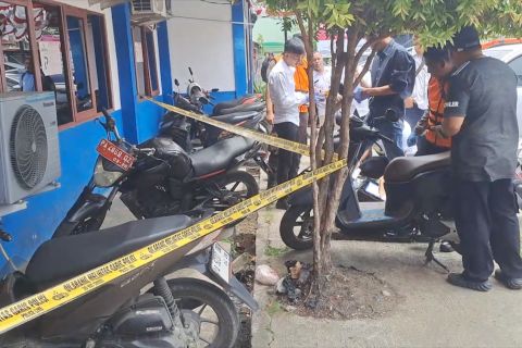 Komnas HAM Papua kena teror diduga bom molotov, minta pelaku diungkap