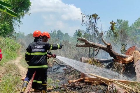 Pemkot Pangkalpinang gelar rakor bentuk satgas cegah karhutla