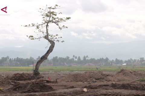 Pemerintah data kembali lahan rusak berat terdampak bencana di Sumbar