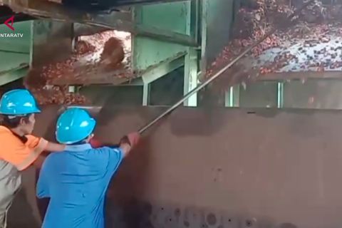 Pemkab Kaltim optimalkan pemasok limbah sawit untuk biogas