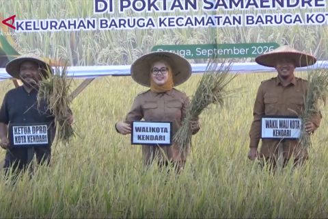 Pemkot Kendari optimalkan lahan pertanian di tengah kemarau