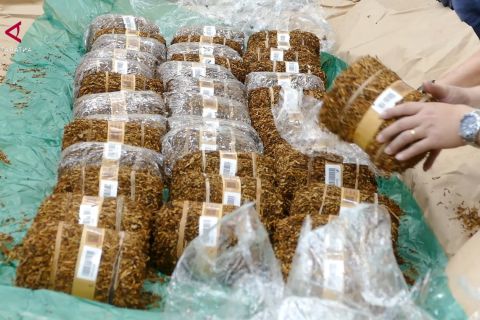Prioritaskan petani lokal, Komisi IV DPR dukung setop impor tembakau