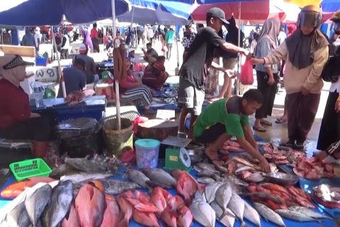 BPS catat Sultra alami deflasi 0,31 persen pada Agustus 2026