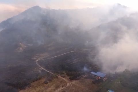 Kemenhut catat 22 kasus masuk tahap penyelidikan terkait karhutla