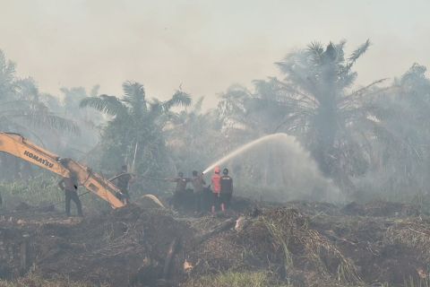 BPBD Jambi buat embung air untuk tangani karhutla