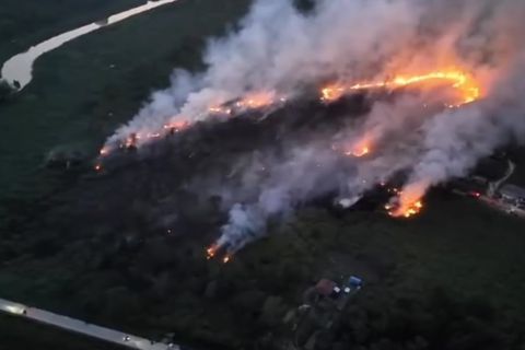 KLH selidiki kerugian lingkungan akibat karhutla