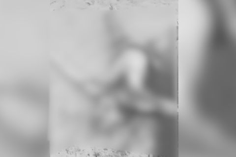 Jenazah di Enggano belum dipastikan bagian rombongan jurnalis hilang