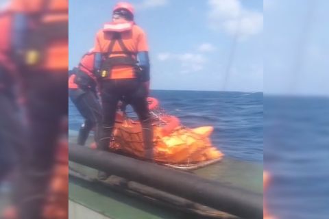 Tim DVI berhasil identifikasi enam korban meninggal dunia Kapal Virgo