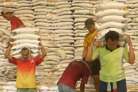 Kementan sebut stok beras nasional aman hingga sepuluh bulan