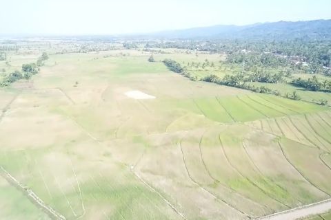 BWS Sulawesi IV bantu tangani kekeringan 50 hektare sawah di Kendari