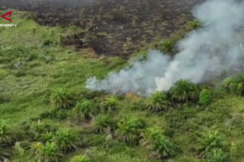 BNPB catat 61 titik api di wilayah IKN