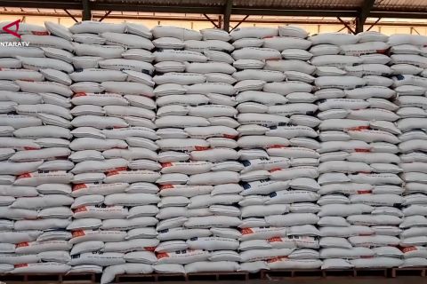 Produksi beras Sulsel naik, target 3,3 juta ton optimistis tercapai