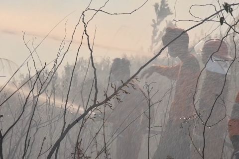 Tantangan petugas selama padamkan karhutla di Kaltim
