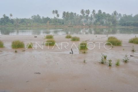 Pendangkalan muara Sungai Batang Anai